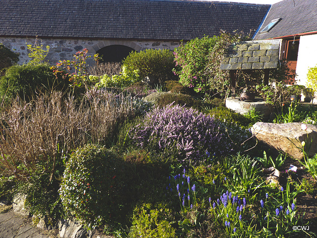 Early morning sunlight in the courtyard garden