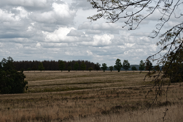 20230813_benneckenstein wandern