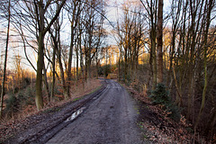 Wanderweg, ehemals Trasse der Harkort'schen Kohlenbahn (Wetter) / 25.02.2023