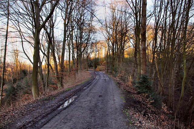 Wanderweg, ehemals Trasse der Harkort'schen Kohlenbahn (Wetter) / 25.02.2023