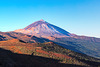 Teide pur