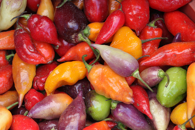 Peppers in the market