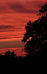 Sunset in Oberlangen