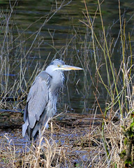 DSCF5922 v1s DSCF5922 v1s