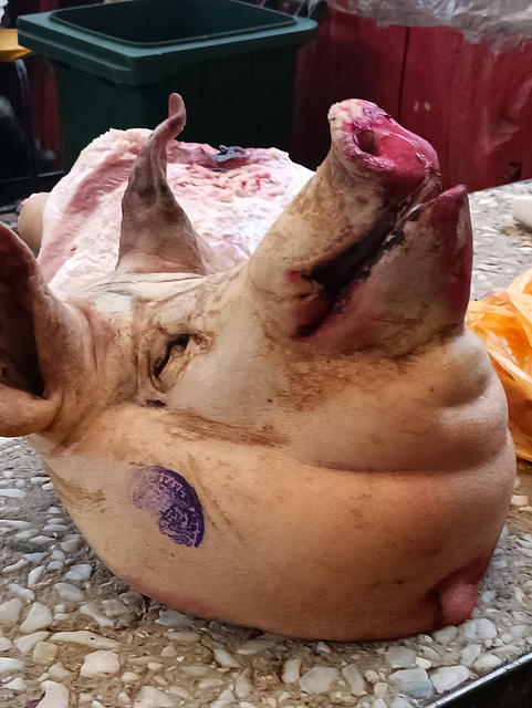 Pig's Head