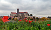 Mohn im Oktober ... (PiP)