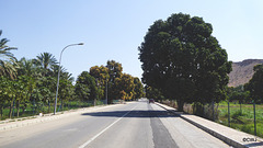 LR-1040205