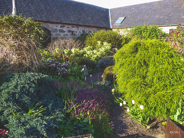 Early morning sunlight in the courtyard garden