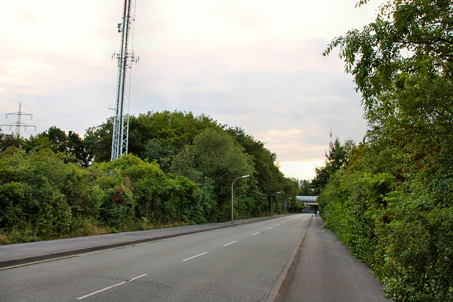 Langenacker (Dortmund-Mengede) / 11.07.2020