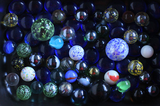 184/365 2025 fill the frame