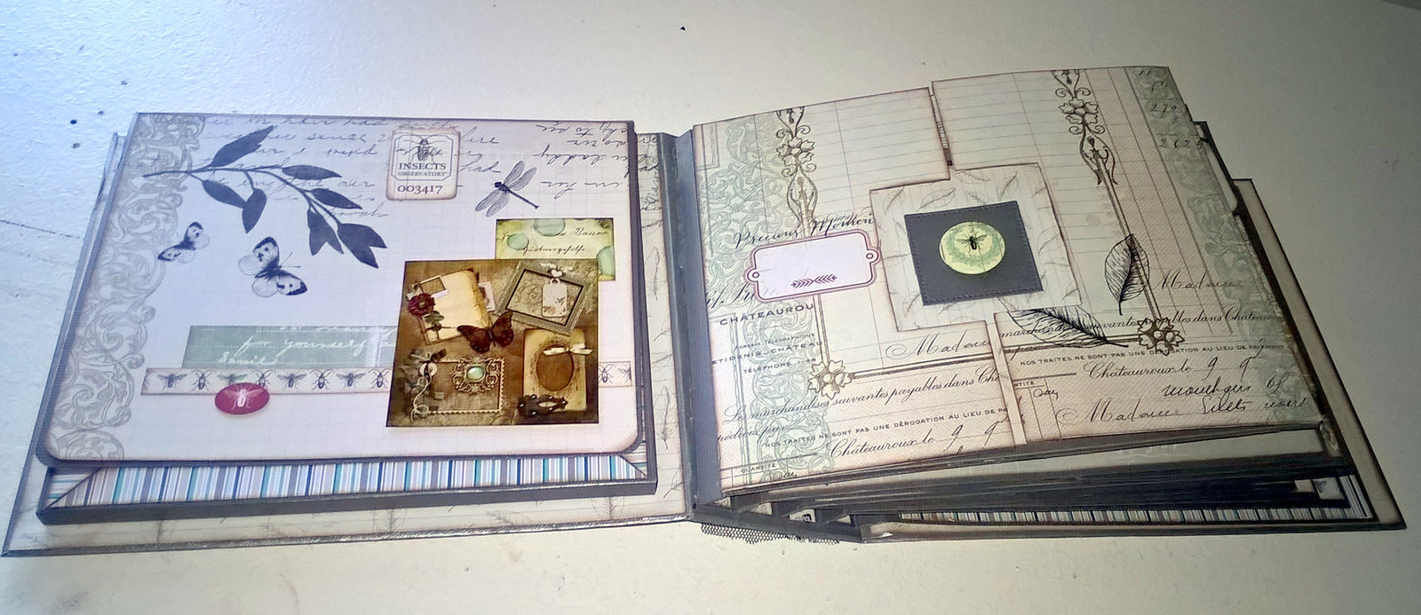 Scrapbooking - Album Curiosités