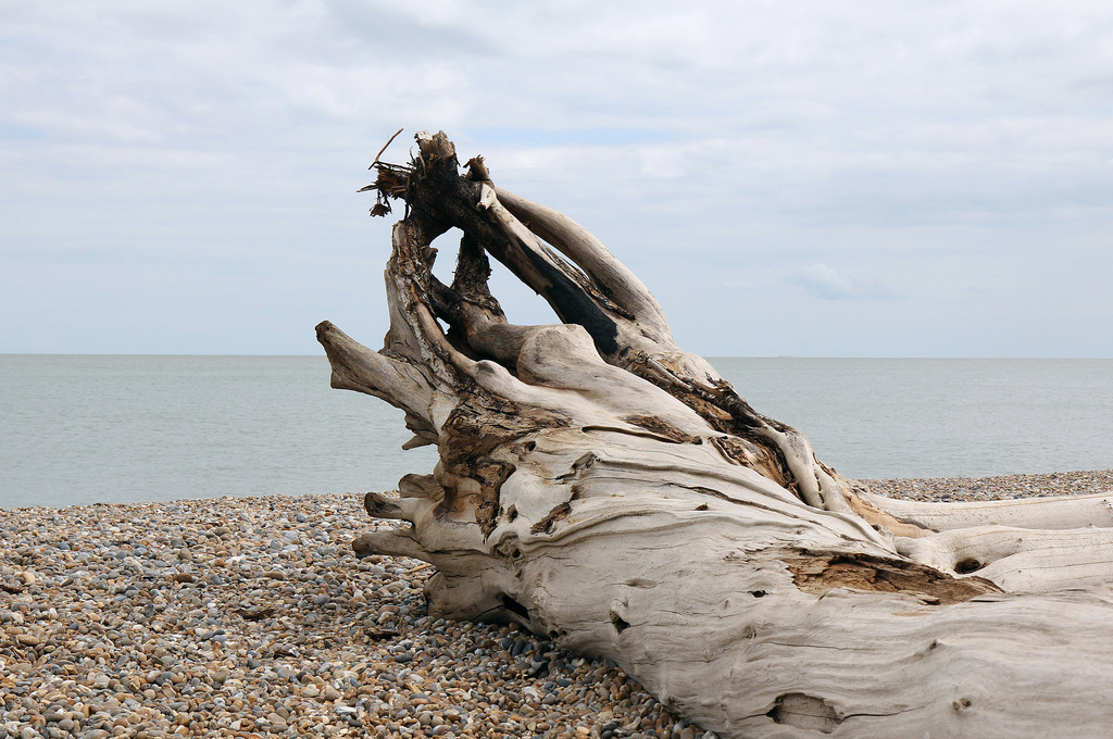 Watching the tides