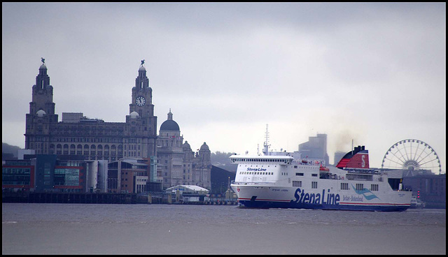 Liver building