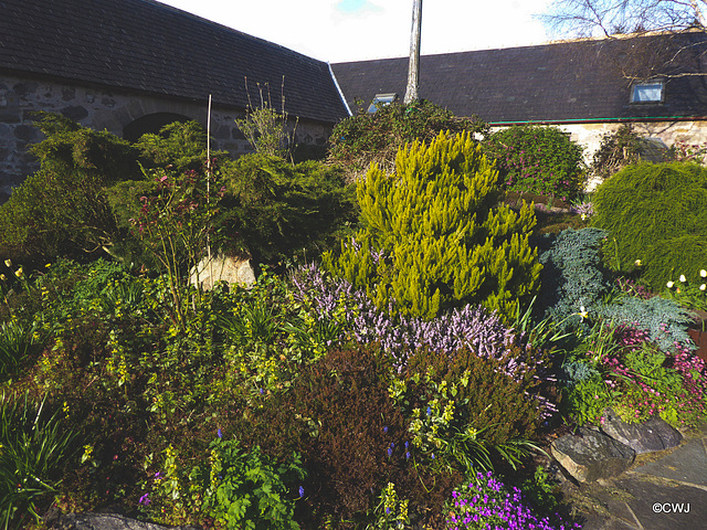 Early morning sunlight in the courtyard garden