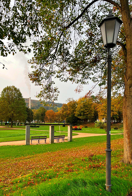 Dahliengarten im Herbst