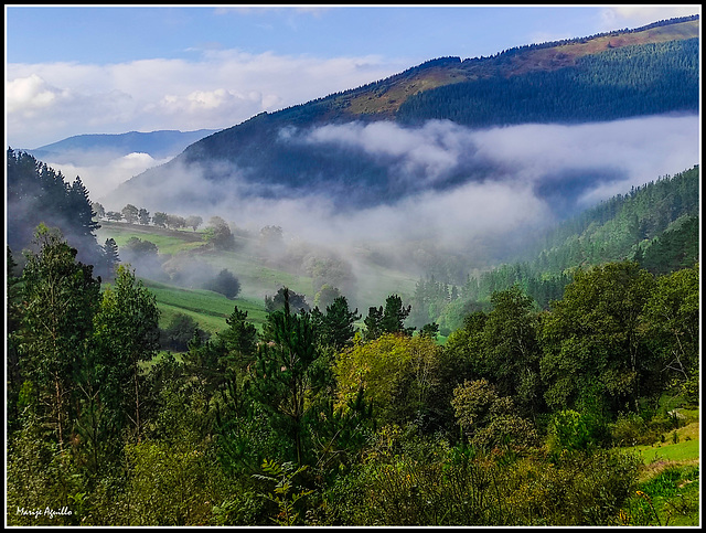 Nieblas de otoño