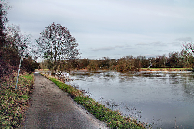 Weg am Ruhrufer (Essen-Überruhr) / 10.02.2024