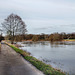 Weg am Ruhrufer (Essen-Überruhr) / 10.02.2024