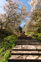 Dartington Hall Garden - 20150414