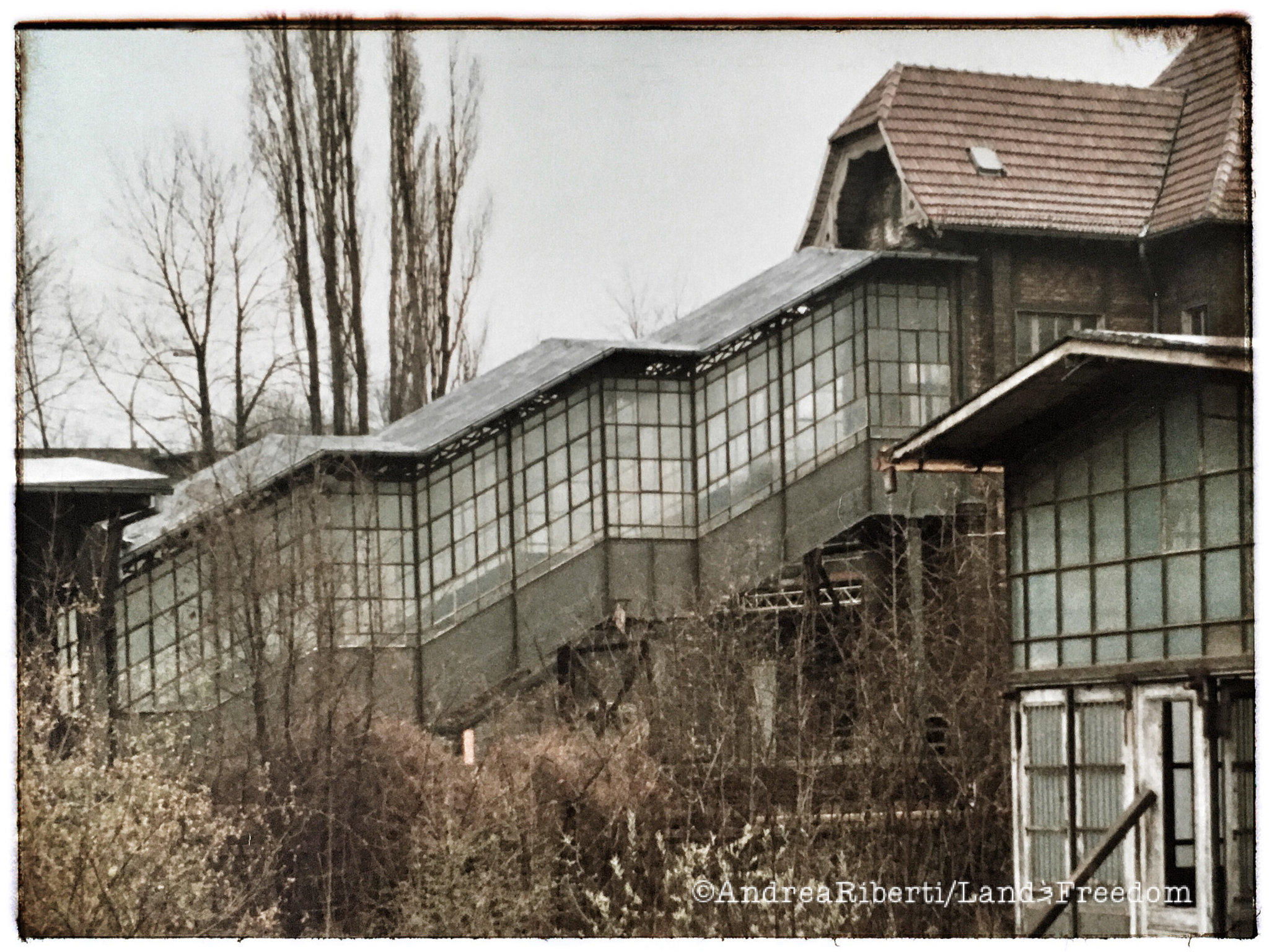 Berlin, Verlassene Geleise in der Nähe des Anhalterbahnhofs, 1984