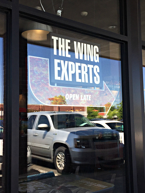 THE WING EXPERTS