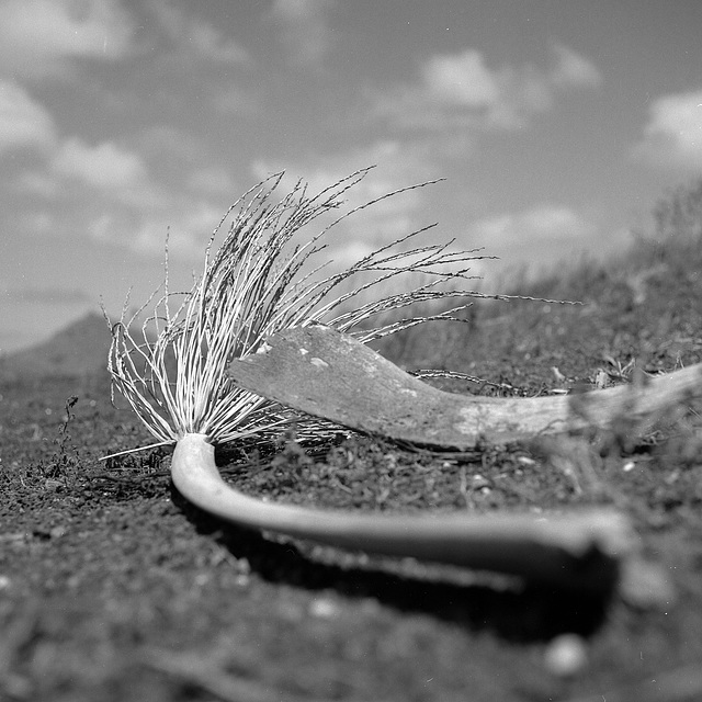 lanzarote2019-09-01-0002