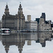 Liverbuilding, Cunard and Port of Liverpool building, Liverpool