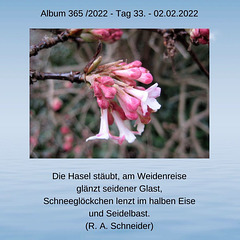 Album 365 /2022 - Tag 33. am 02.02.2022