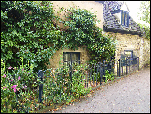 cottages on Parks Road