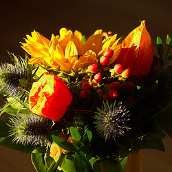 HD-IP-IMG 9974 HD-IP-IMG 9974