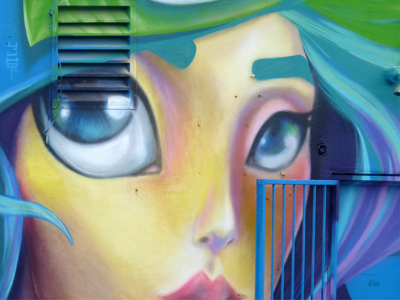 View over the Fence