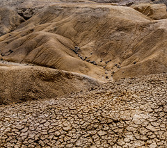 la Savane des Pétrifications