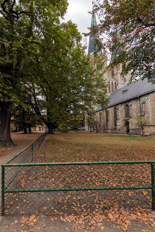HFF an der Nikolaikirche