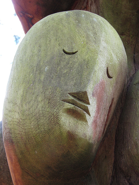 Gesicht am Baum