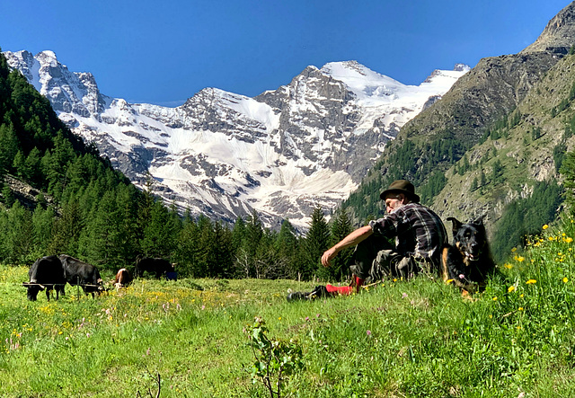 ai piedi del Gran Paradiso (4061 m)