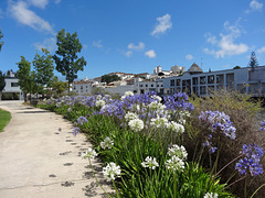 Tavira