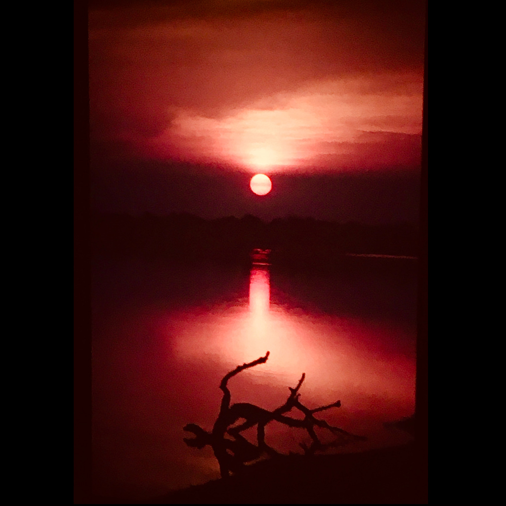 Driftwood and setting sun over the Luangwa River.