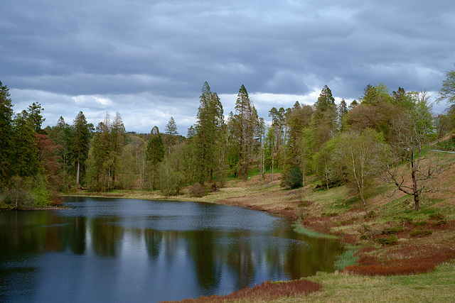 Tarn Hows  - Fuji Velvia Film Simulation