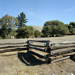 Split Rail Fence