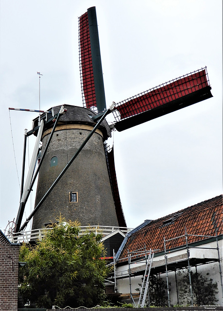 Bike Netherlands/ IJsselstein  2xPiP