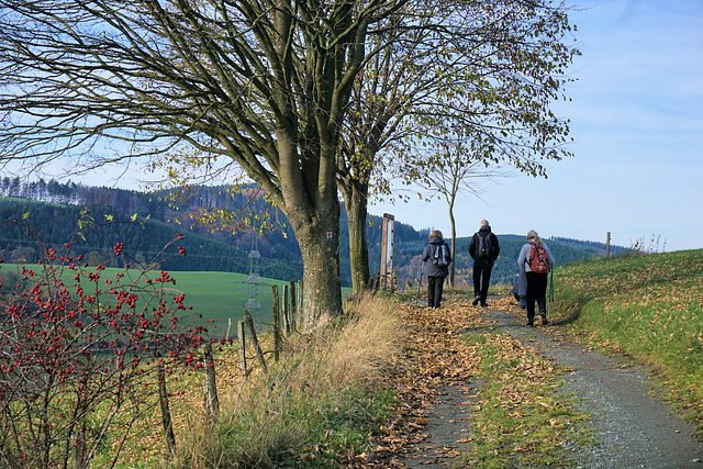 Fototour, Oberhenneborn