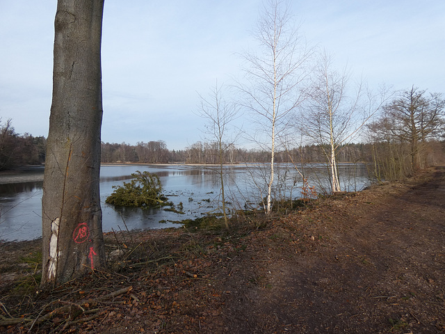 Blick am Eselweiher-Damm