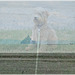 Collage de deux photos avec Photoscape : Ma chienne à SAINT BENOIT DES ONDES  avec vue sur le Mont Saint Michel