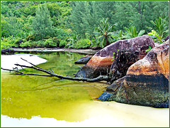 Seychelles : i graniti colorati sono una esclusiva di questa isola Praslin