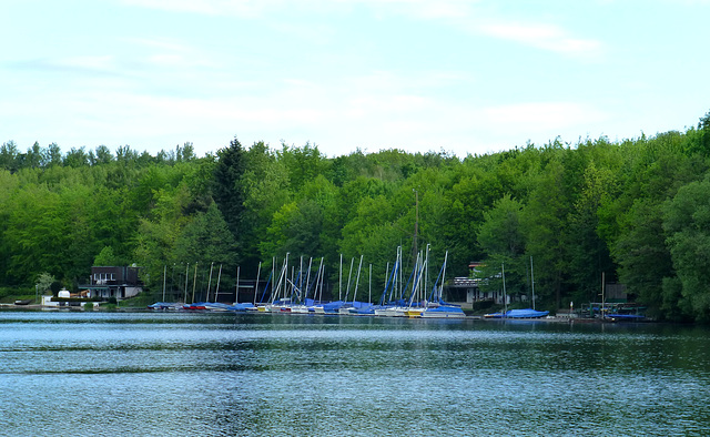 Gesichter der Braunkohle - Heider Bergsee