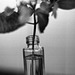 Glass bottle