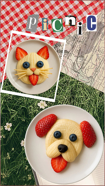 Picnic on a sunday afternoon ｡◕‿◕｡