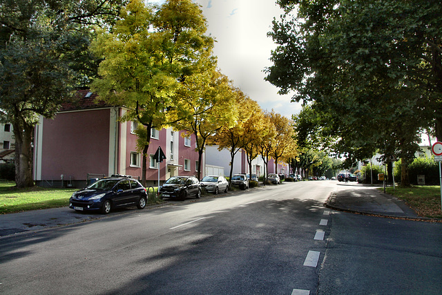 Oberfeldstraße (Dortmund-Huckarde) / 9.09.2018