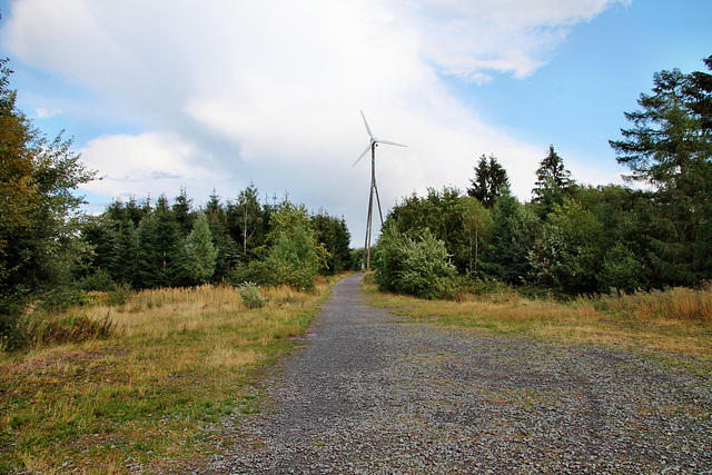 Auf der Lichtung zwischen den Windrädern (Hattingen-Elfringhausen) / 25.08.2018