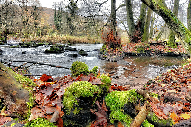 Die letzten Herbsttage im Sinntal